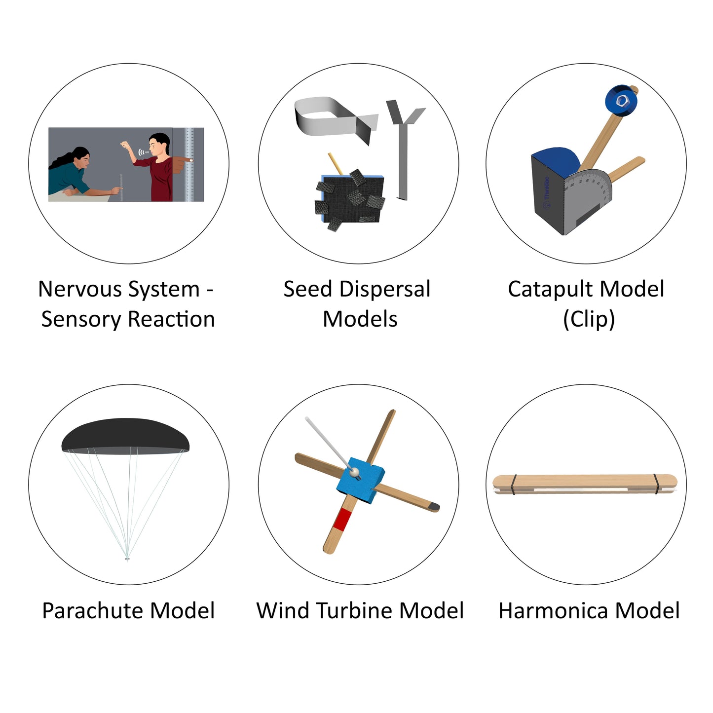 Grade V Annual Science Programme