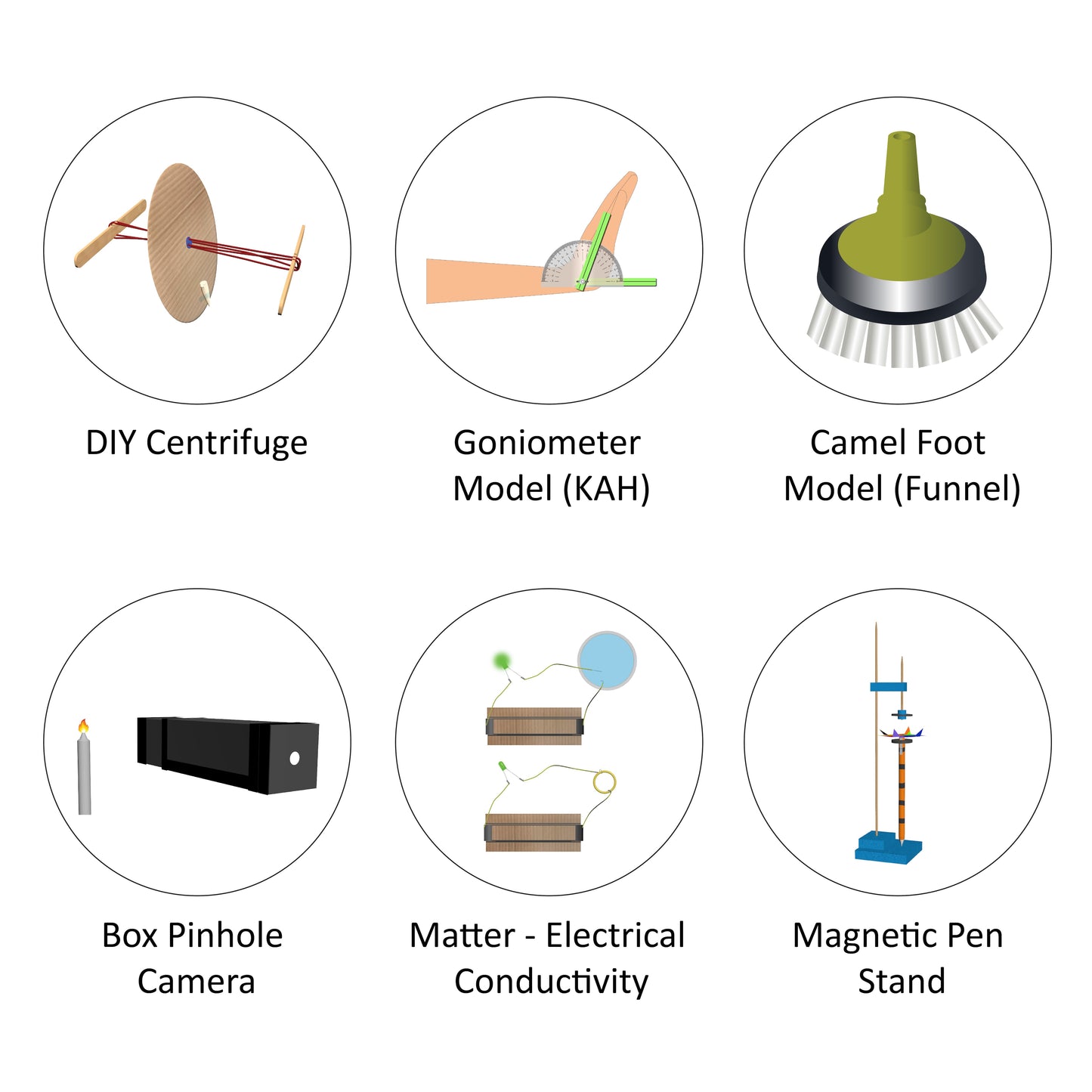 Grade VI Annual Science Programme